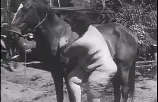 XXX 親愛なる日焼けした角質の雌犬と下衆野郎 ちじょ えろ