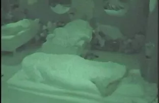 XXX 手コキおっぱいダーリン アニメ 女 エロ