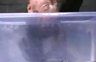 XXX 私の夫の上司 えろ ド m 女