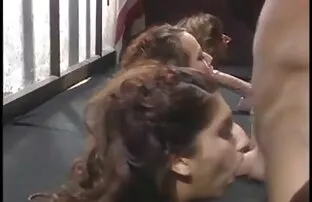 XXX ブレット-ロッシ-ラブス 女 教師 と エロ