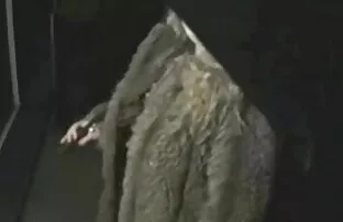 XXX 小さな気まぐれ-いくつかのビキニで 女性 えろ 無料