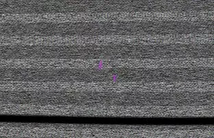 XXX テイラーの散歩 女性 用 えろ どう が